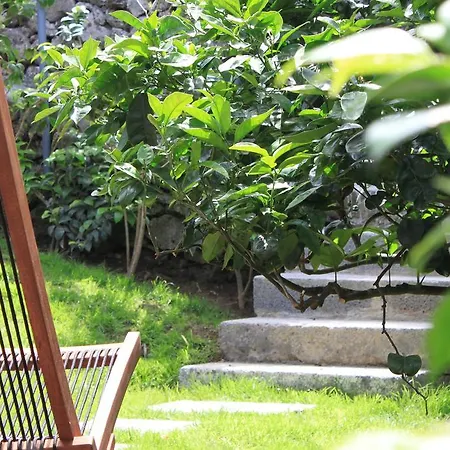 Quinta Das Rosas Villas Ribeira Grande Room photo